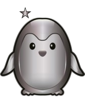 Silver 1-star conjugation rank badge